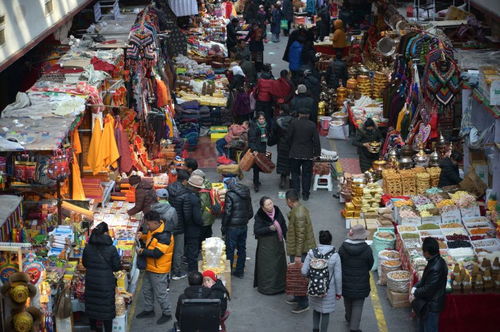 西藏繁荣景象