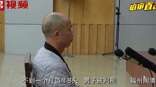 权道亨认罪画面