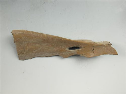 河姆渡文化骨耜