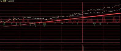 马光远：股市创新高，牛市真的来了吗？