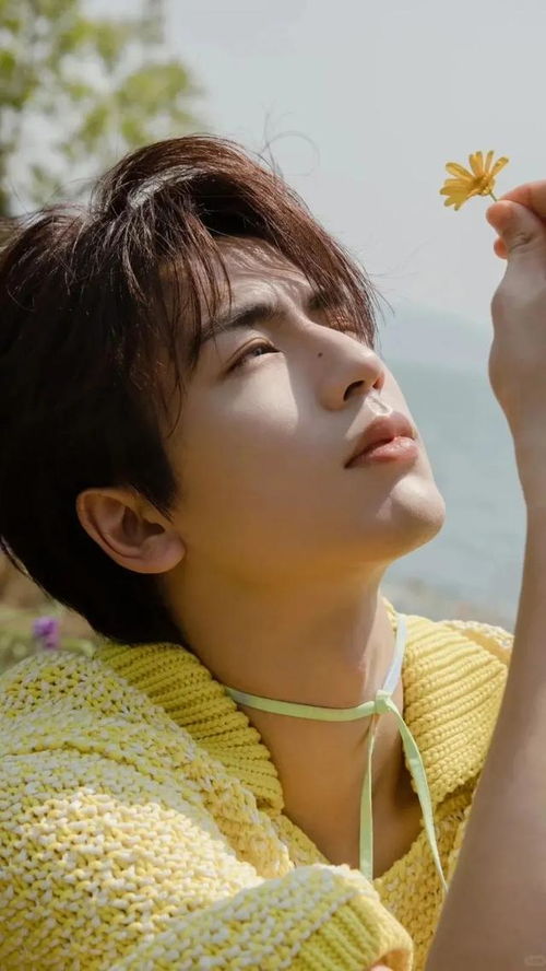 张凌赫邀你共敷本草面膜啦！