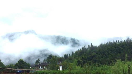 安徽未开发山区惊现13人失联，背后真相令人揪心！