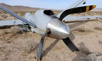 日本在钓鱼岛启用大型无人机背后的野心