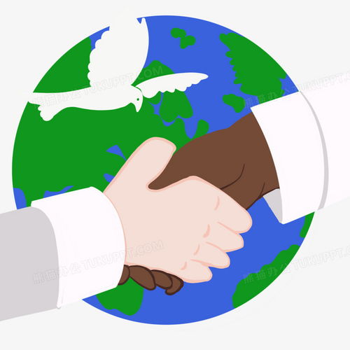 国际合作与交流