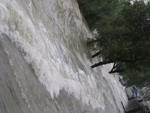 国运流网文里的奇幻开局：十倍洪水下内地吃海鲜