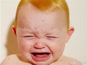 宝宝在凉快环境玩耍