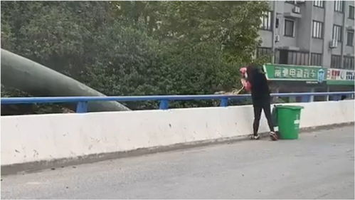 云南罗平女子拉泔水被罚，官方：未处理不得喂猪