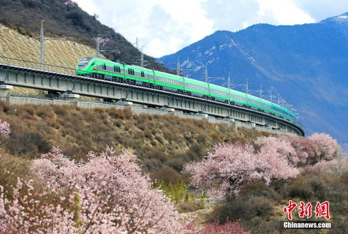 新时代高原‘四重奏’：西藏的华丽蜕变