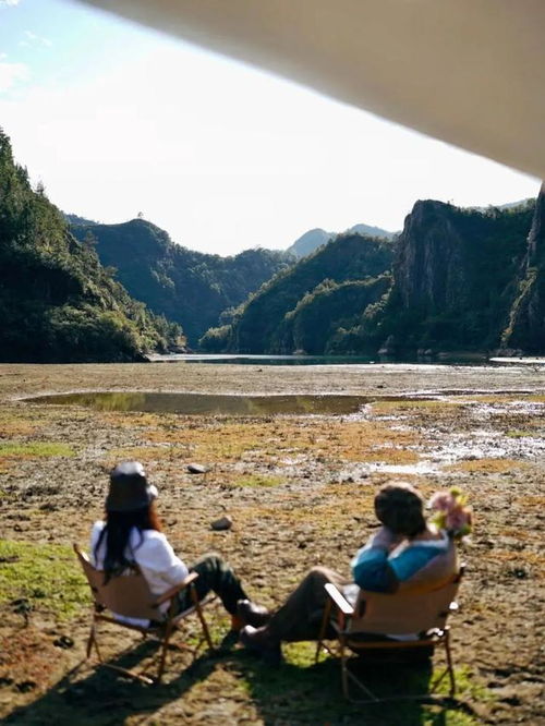 人们在户外露营地的画面