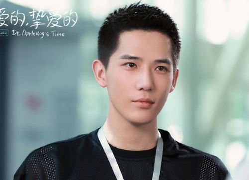 王安宇再出专业名场面，演技实力圈粉！