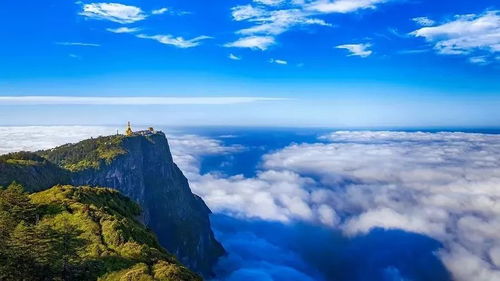 263斤男子豪掷22100元雇9名轿夫抬滑竿上峨眉山，真相令人震惊！