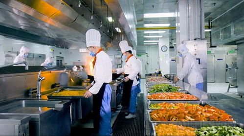 一份精致的航空餐食