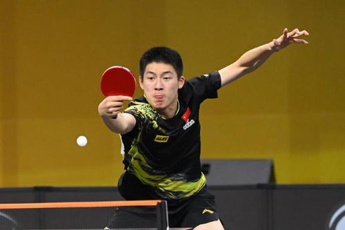 温瑞博获胜后的庆祝动作