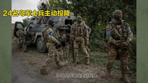 乌军阵亡人数惊人！俄黑客曝光名单背后的真相