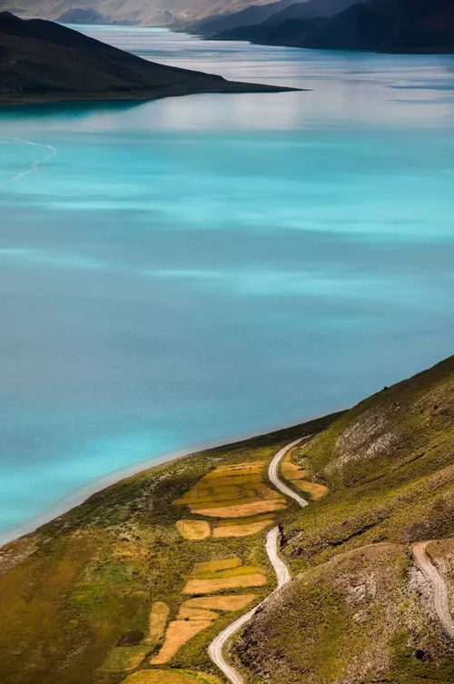 开拓人生之路，无畏向前