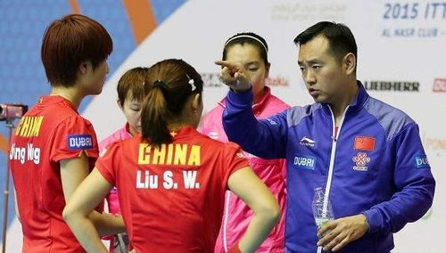 陶嘉明和队员庆祝