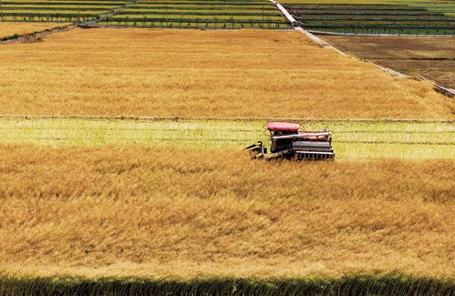 美国与欧盟就贸易协定框架达成一致，背后影响几何？