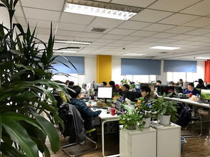 游戏开发团队工作场景