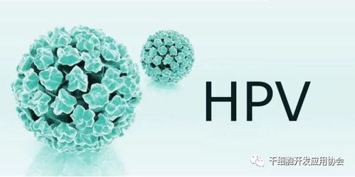 约八成女性曾感染HPV病毒？这背后竟藏着这么多秘密！