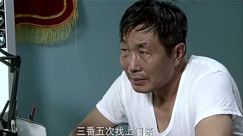 两男子被好友戴绿帽报复获刑，这背后的故事令人深思