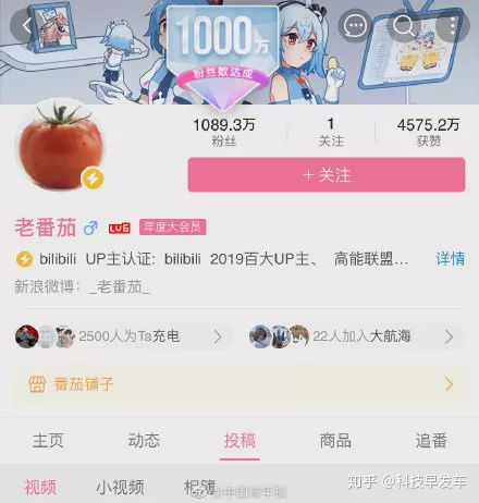 老番茄的B站头像