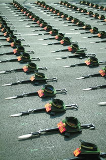 九三阅兵创新亮点大揭秘