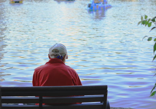 老人未逝却被要求火化？背后真相令人深思