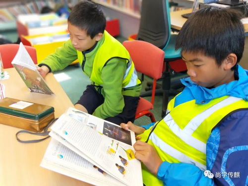 揭秘！中小学生的‘超长学期’到底有多长？