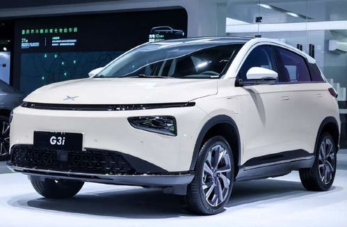 小鹏汽车毛利率创新高，能否蜕变成为‘大鹏’？