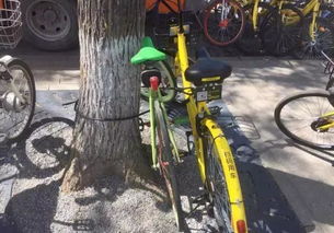 网友晒单高价共享单车