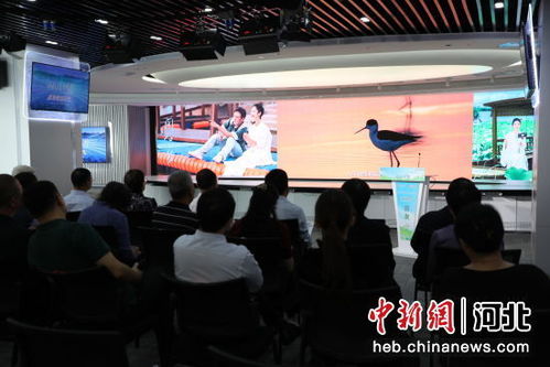 观众看微短剧场景