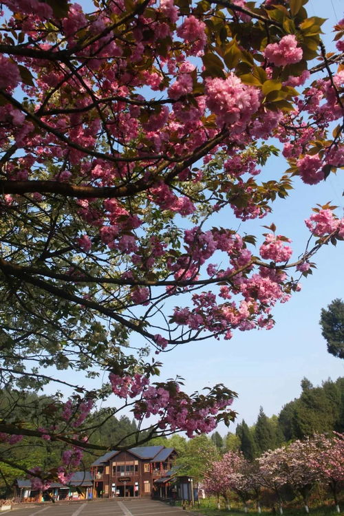 金刀峡周边美景