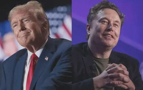 马斯克与美国副总统的财政协助传闻引发关注