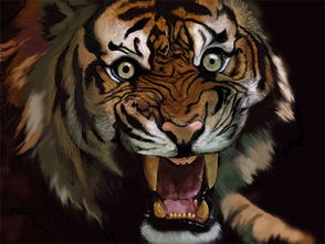 湖北村民干农活遇老虎袭击？官方：正调查，当地无老虎记录