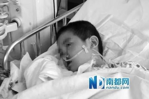 女子坠谷奇迹生还，回家竟遭火海吞噬！