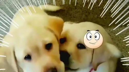 震惊！离婚冷静期男子毒杀儿女，事前竟留遗书