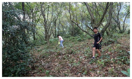 2岁女童家门口失踪，家长心急如焚！