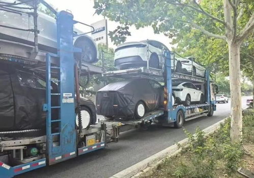 六座Model YL中国特供，马斯克为何躺平美国市场？