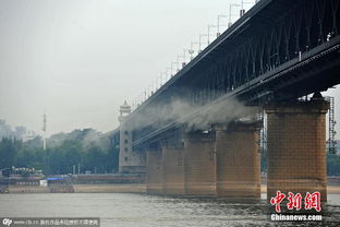 惊魂！大桥施工事故致多人死伤，背后真相令人揪心