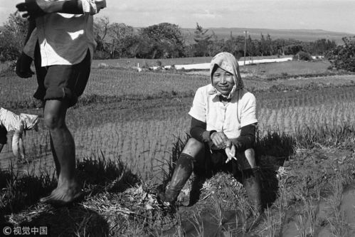 《生万物》里谁最惨？铁头还是其他人？