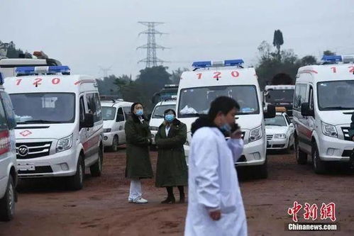 民众关注事故报道