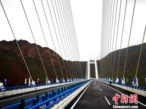 青海大桥事故惨重！10死4失联背后的故事