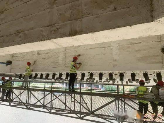 桥梁检测人员工作