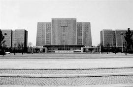 乡政府人员缺岗？当事人发声引热议！