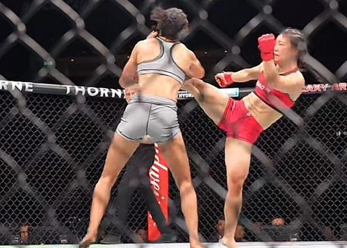 石铭VS布拉西尔：一场热血格斗对决