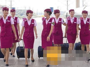 乘务员工作场景