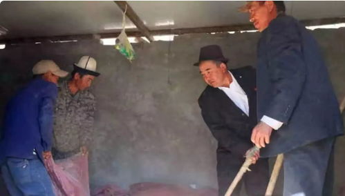 浇好团结花 结出幸福果——从村民故事看民族团结的力量