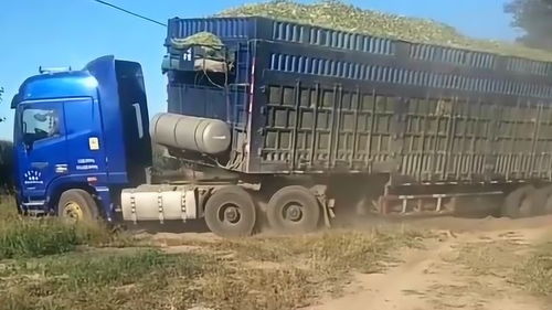 货车司机竟成新就业‘收入王’？背后真相令人深思！