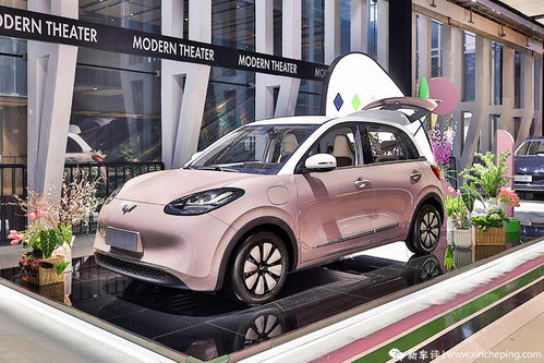 孟子义与五菱缤果合影