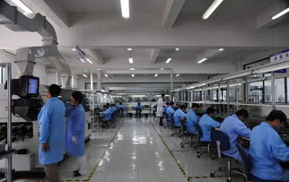 医学生实习竟被安排进电子厂，背后真相令人揪心！